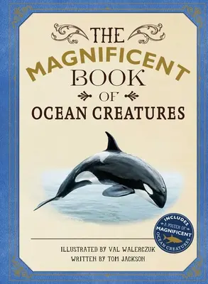 Veľkolepá kniha o oceánskych tvoroch - The Magnificent Book of Ocean Creatures