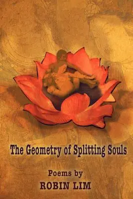 Geometria rozdelenia duší - The Geometry of Splitting Souls