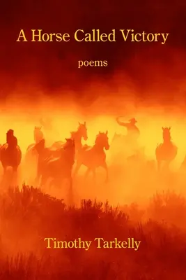 Kôň zvaný víťazstvo - A Horse Called Victory