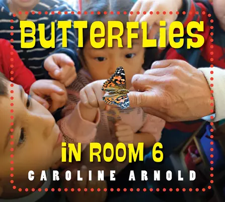 Motýle v izbe 6: Pozri, ako rastú - Butterflies in Room 6: See How They Grow