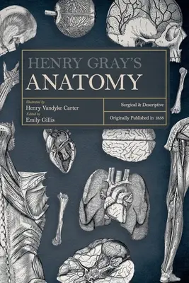 Anatómia Henryho Graya: chirurgická a deskriptívna - Henry Gray's Anatomy: Surgical and Descriptive
