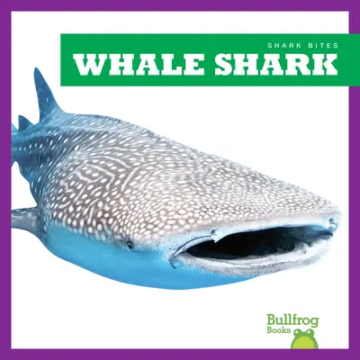 Žralok veľrybí - Whale Shark