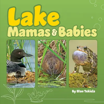Mamičky a deti od jazera - Lake Mamas & Babies