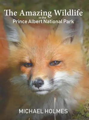 Úžasná divoká príroda v národnom parku Prince Albert - The Amazing Wildlife in the Prince Albert National Park
