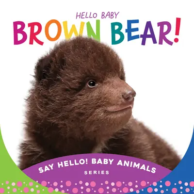 Ahoj, malý hnedý medvedík! - Hello Baby Brown Bear!