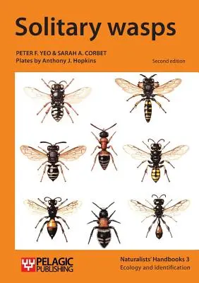 Osamelé osy - Solitary wasps